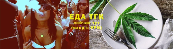 первитин Гусев