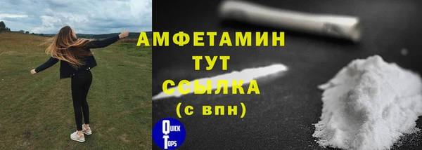 амф Дмитров
