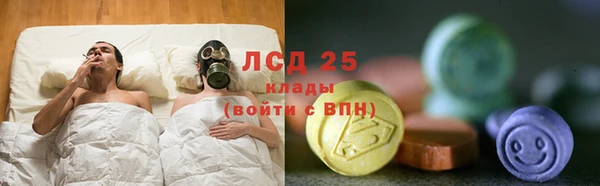 амф Дмитров