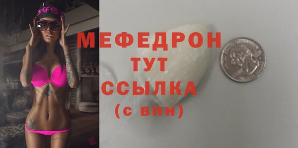 spice Дмитриев