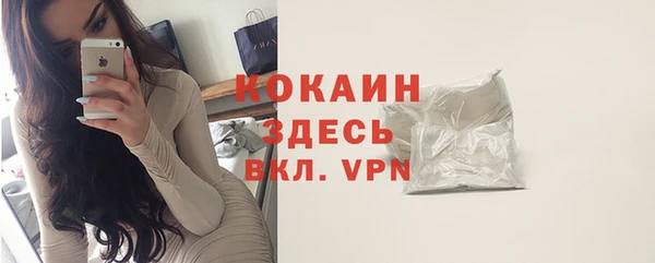 амф Дмитров