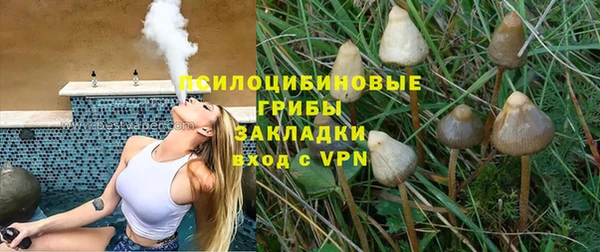 spice Дмитриев