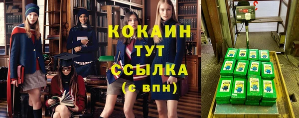 амф Дмитров