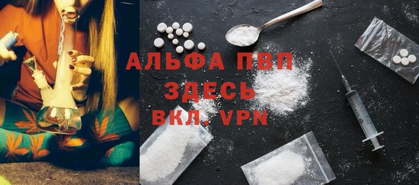 spice Дмитриев