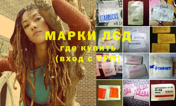 амф Дмитров