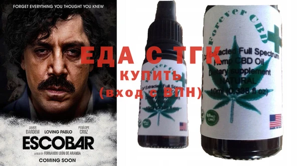 spice Дмитриев