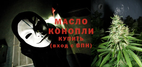 spice Дмитриев