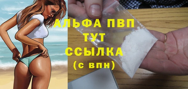первитин Гусев