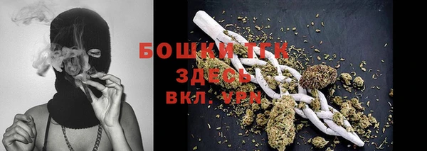 амф Дмитров