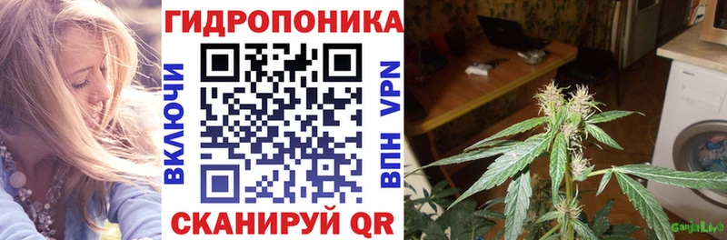 omg маркетплейс  Луховицы  Шишки марихуана MAZAR  что такое  